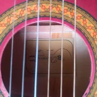 فروش گیتار وکیف گیتار|گیتار، بیس، امپلیفایر|قزوین, |دیوار