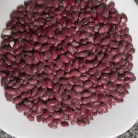 لوبیا قرمزه درجه یک خوشپخت