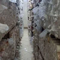 بزرگترین مرکز بخش کاغذ‌دیواری وتولیدی پرده پانچ‌|پرده، رانر، رومیزی|اهواز, ۳۰ متری|دیوار