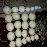 سنگ الماس آسیاب|جواهرات|رشت, عینک|دیوار