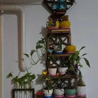 شلف دیواری چوبی طرح سنتی همراه چراغ مخصوص رشد گیاه