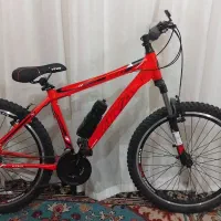 دوچرخه ویوا تایوانی اصل