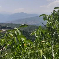 عکس-تزیینی-میباشد-زمین-تجاری-مسکونی-دونبش