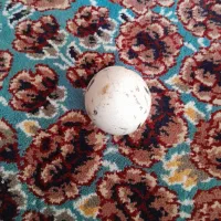 سنگ الماس آسیاب