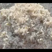 انواع خوراک دام و طیور|لوازم جانبی حیوانات|اصفهان, احمدآباد|دیوار