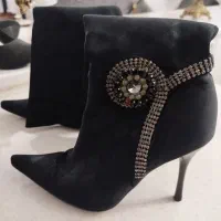 پوتین و کفش مجلسی