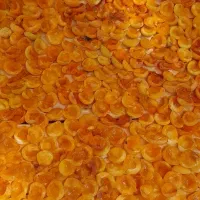 برگه زردالو|خوردنی و آشامیدنی|تهران, سلسبیل جنوبی|دیوار