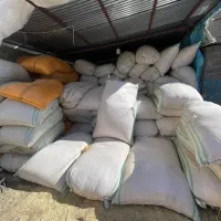 فروش کاه گندم سفید و ریز