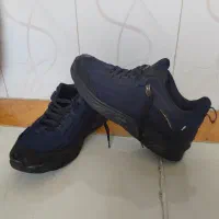 کفش|کیف، کفش، کمربند|زنجان, |دیوار