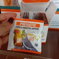 قناری،طوطی،کوتوله،پری بیوتیک پرندگان