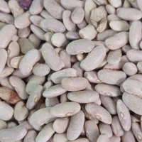 منجیل شهرک ایثارگران خ امینی|خوردنی و آشامیدنی|منجیل, |دیوار