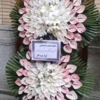 تاج گل|گل و گیاه طبیعی|کرج, کوی کارمندان شمالی|دیوار