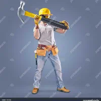 نیروی کار آقا و خانم