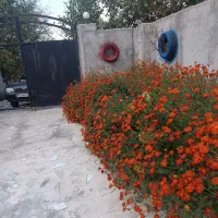 سلام-ویلا-باغ-چهار-دیواره-سند-دار