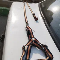 یک عدد قلاده سگ سلیبی