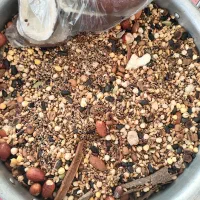 قوتو چهل گیاه خانگی|خوردنی و آشامیدنی|سیرجان, |دیوار