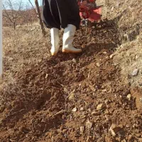 شخم زدن باغ