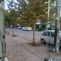 فروش یک باب مغازه ۳۰ متری در بهترین موقعیت تجاری|فروش مغازه و غرفه|مشهد, خلق آباد سفلی|دیوار