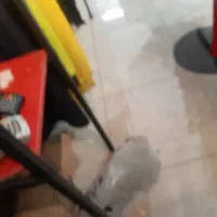 واگذاری فروشگاه ورزشی با کلیه تجهیزوت