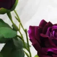 خط دایم‌ ثابت