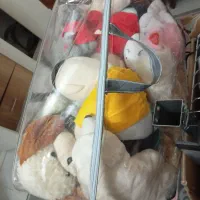 عروسک|اسباببازی بچه|مشهد, عبادی|دیوار