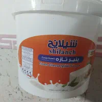 سطل