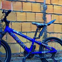 دوچرخه  ویوا