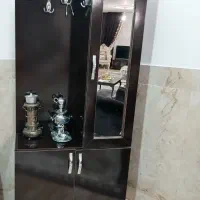 جا کفشی و جا کیفی