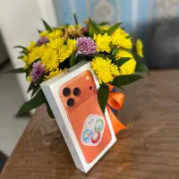 ایفون 17  پرومکس zaa شرکتی پلمپ