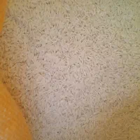 برنج ایرانی درجه یک