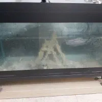 آکواریوم بزرگ با پایه فلزی