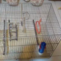 قفس پرنده|لوازم جانبی حیوانات|تهران, منیریه|دیوار