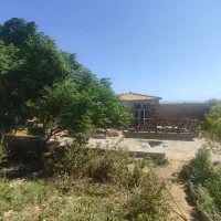 فروش 3000 متر باغ پسته و دامداری