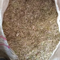 فروش جوبذری.یونجه. کاه سفید.کاه لوبیا خورده گندم