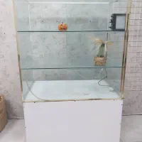 ویترین شیشه ای