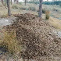 کود حیوانی اسماد