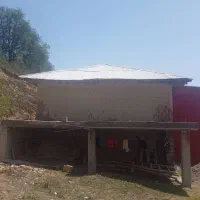 فروش زمین ۳۲۰ متری مسکونی در روستای نیاول|فروش زمین و ملک کلنگی|دیلمان, |دیوار