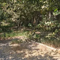 باغ ویلا سند بنچاق کنتوربرق آب|فروش خانه و ویلا|هشتگرد, شهرک راه آهن|دیوار