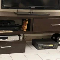 میز تلویزیون