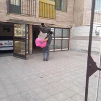 شرکت حمل نقل وباربری( حسام بار) صدرصدتضمینی وتخصصی|خدمات حمل و نقل|همدان, |دیوار