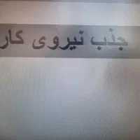 جذب نیروی کار
