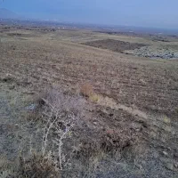 زمین مناسب باغ وویلا