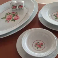 سرویس غذاخوری چینی زرین