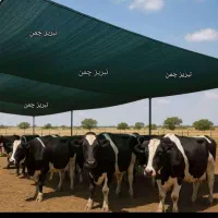 راهنمایی فرصت