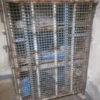 بعلت جابجاب