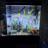 Aquarium(آکواریوم)