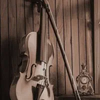 تدریس موسیقی آموزش ویولن ، ویالن ، ویالون ،ویلن