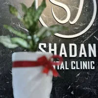 استخدام نیروی حرفه ای در دندانپزشکی