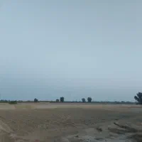 فروش زمین کشاورزی بیست هکتار