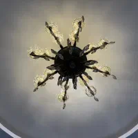 لوستر ۸شاخه ی ۱۶شعله ،پا به نو